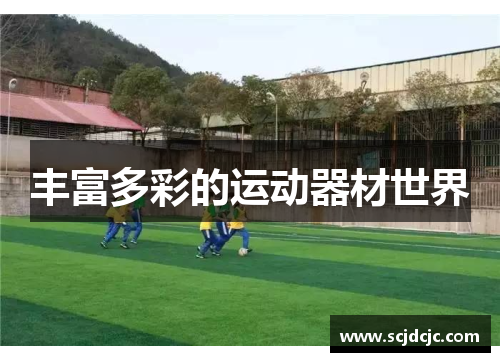 丰富多彩的运动器材世界