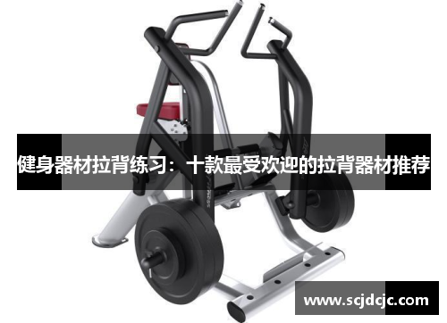 健身器材拉背练习：十款最受欢迎的拉背器材推荐