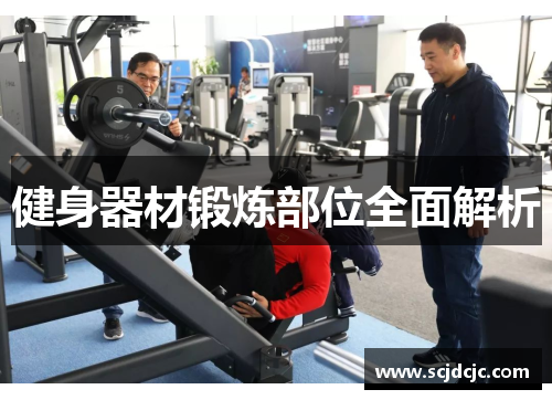 健身器材锻炼部位全面解析