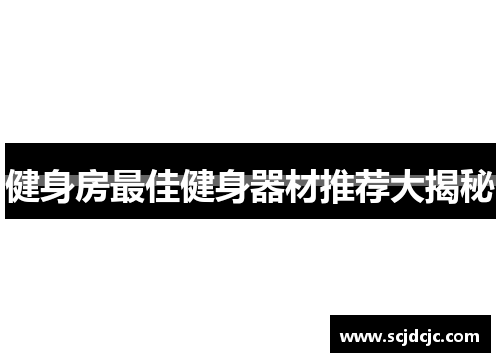 健身房最佳健身器材推荐大揭秘