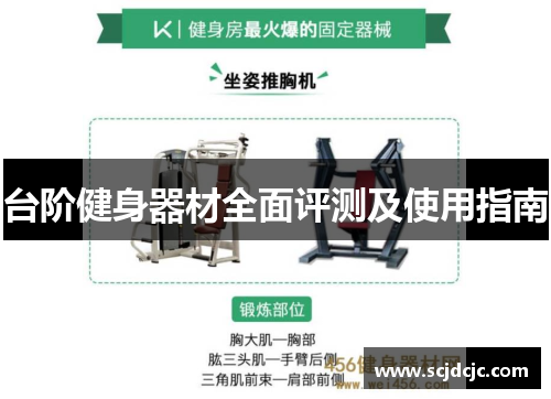 台阶健身器材全面评测及使用指南