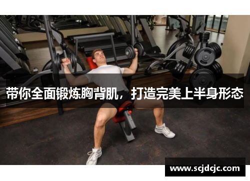 带你全面锻炼胸背肌，打造完美上半身形态